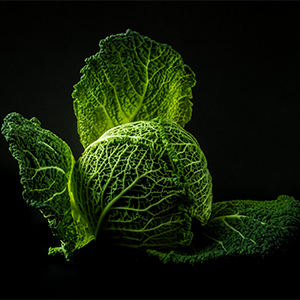 Foto verdure a foglia