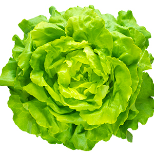 Foto verdure a foglia