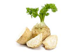 Foto verdure a radice